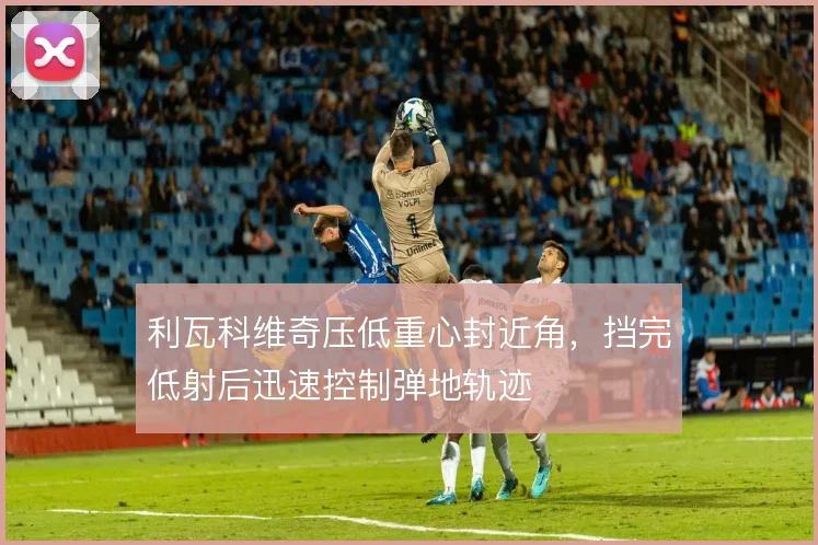 利瓦科维奇压低重心封近角,挡完低射后迅速控制弹地轨迹