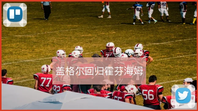 盖格尔回归霍芬海姆