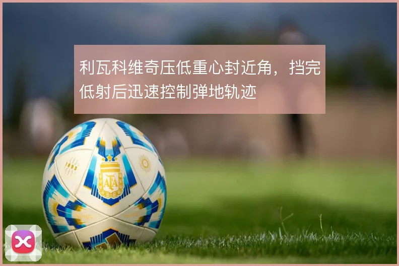 利瓦科维奇压低重心封近角，挡完低射后迅速控制弹地轨迹