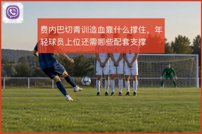 费内巴切青训造血靠什么撑住,年轻球员上位还需哪些配套支撑